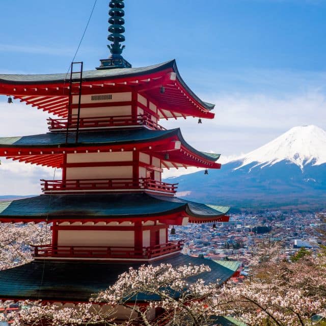 From Tokyo: Mount Fuji and Hakone Private Day Trip - Itinerary and Pickup Options