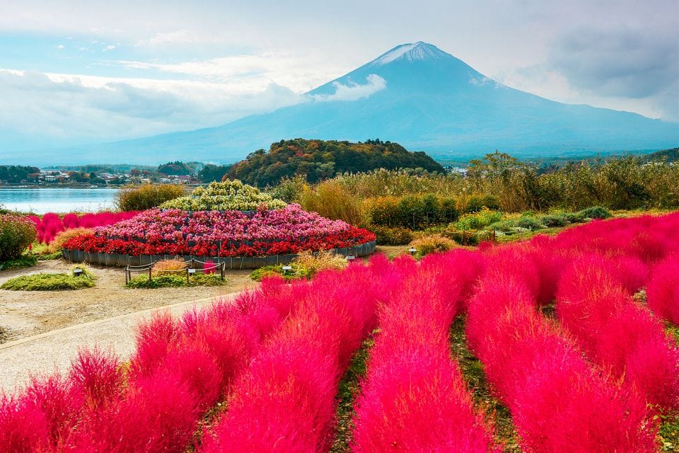 From Tokyo: Mt. Fuji Full-Day Sightseeing Trip - Itinerary Highlights and Schedule