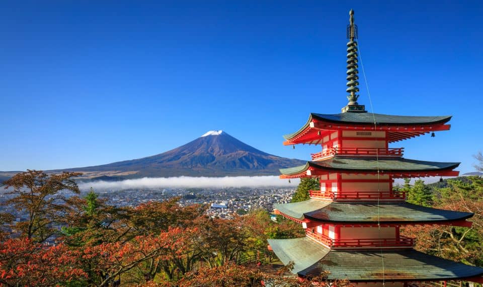 From Tokyo: Mt. Fuji or Hakone Private Sightseeing Day Trip - Private Day Trip Itinerary Options