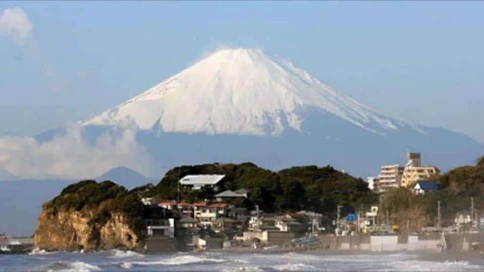 Kamakura Half Day Tour With a Local - Half-Day Itinerary Highlights