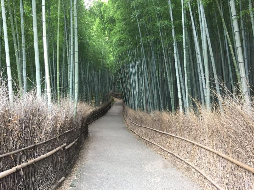 Kyoto, Arashiyama: Bamboo Grove Half-Day Private Guided Tour - Itinerary and Schedule