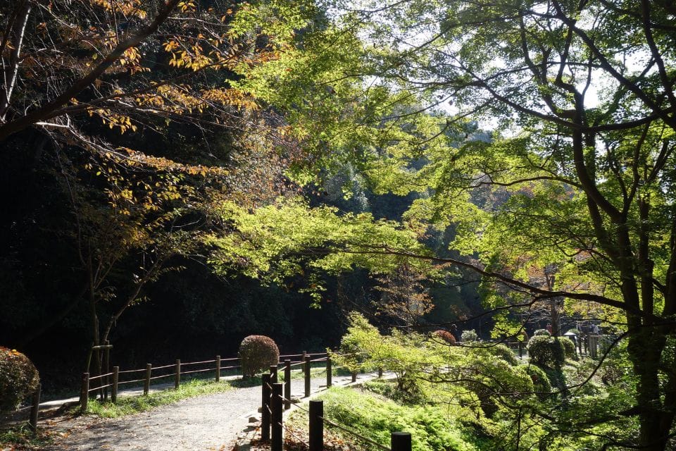 Kyoto: Ginkakuji and the Philosophers Path Guided Bike Tour - Exploring Kyotos Hidden Gems