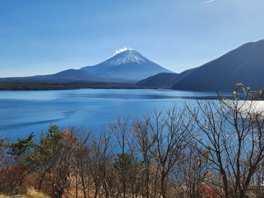 Mt Fuji and Hakone Private Tour With English Speaking Driver - Itinerary and Schedule