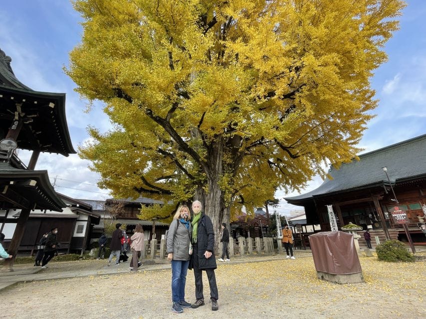 Takayama: Private Walking Tour With a Local Guide - Discover the Citys Rich History