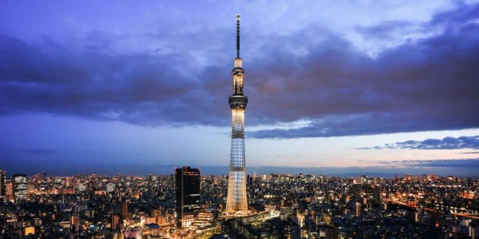 Tokyo: 1 Day Private Customisable City Tour by Car and Van - Customizable Itinerary Options