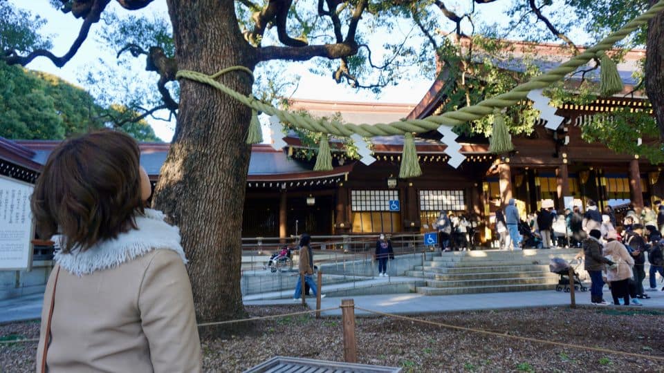 Tokyo From Meiji Shrine to Shibuya Crossing & Lunch,Dessert - Exploring Meiji Shrine