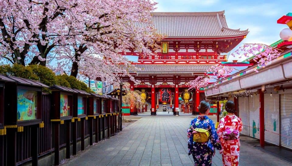 Tokyo: Full Day Private Walking Tour With a Guide - Itinerary and Locations