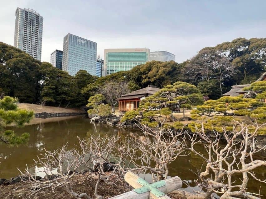 Tokyo : Japanese Garden Guided Walking Tour in Hama Rikyu - Itinerary and Activities