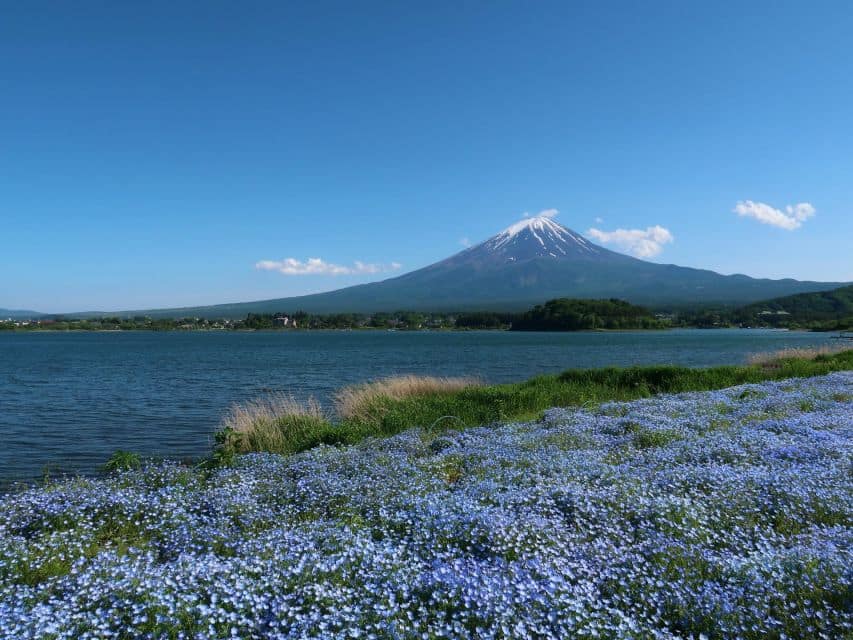 Tokyo: Mount Fuji and Lake Kawaguchi Scenic 1-Day Bus Tour - Scenic Itinerary and Schedule