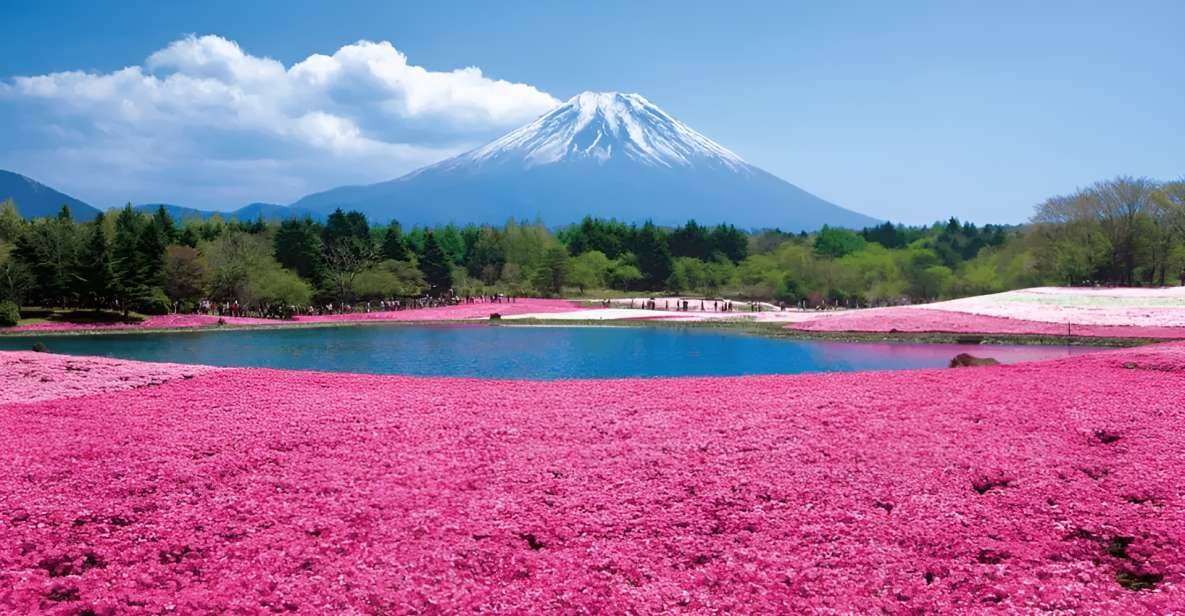 Tokyo: Mt. Fuji Festival, Ropeway, & Fruit Picking Day Trip - Mt. Fuji Day Trip Itinerary