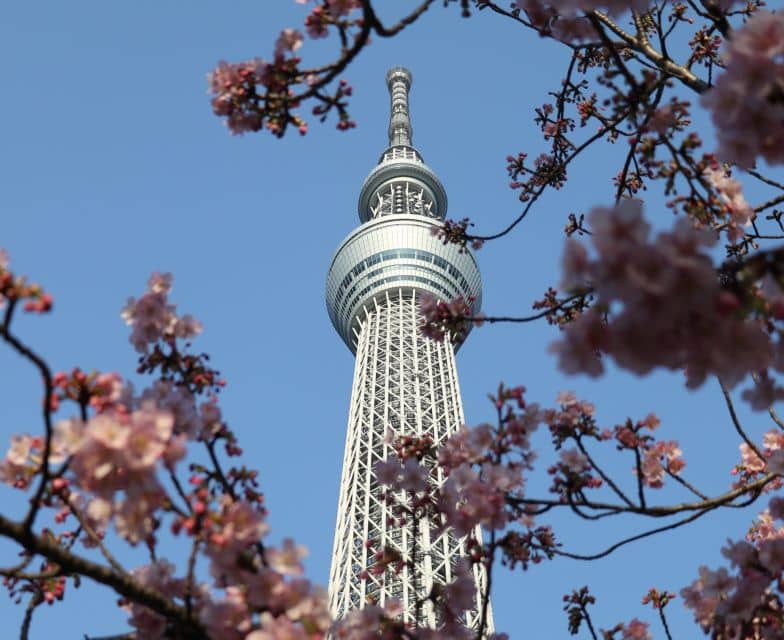 Tokyo Skytree: Admission Ticket and Private Hotel Pickup - Your Skytree Experience Awaits