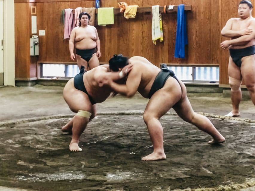 Tokyo: Sumo Morning Training Visit - What to Expect From Training