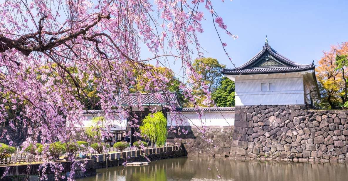 Tokyo: Tokyo Imperial Palace History Private Walking Tour - Itinerary and Meeting Point