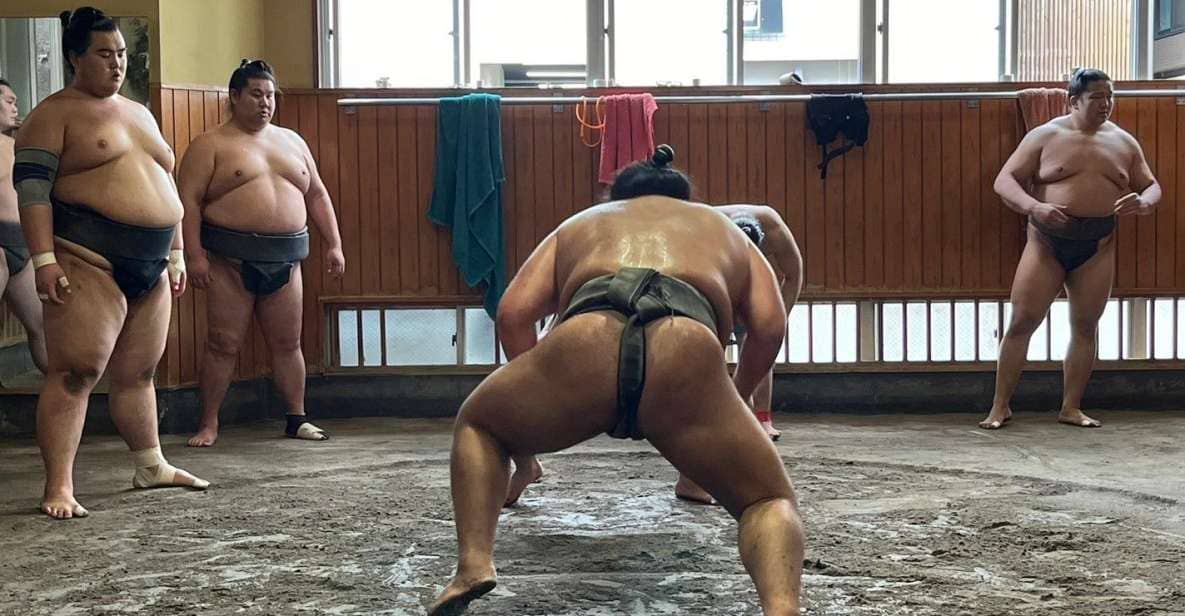 Tokyo: Visit Sumo Morning Practice With English Guide - Gain Rare Access