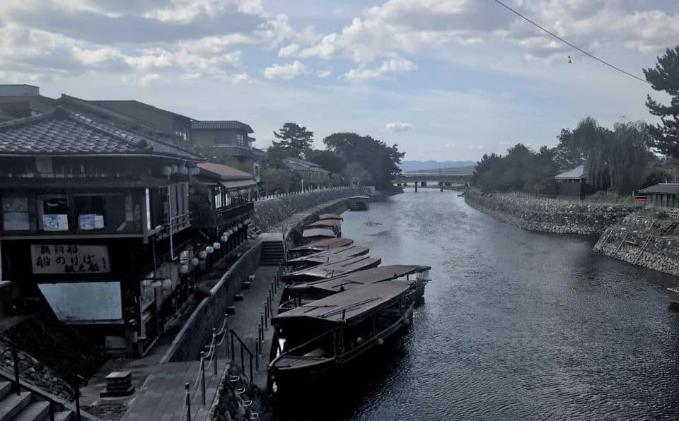 Uji: Green Tea Tour With Byodoin and Koshoji Temple Visits - Immersive Experience Highlights