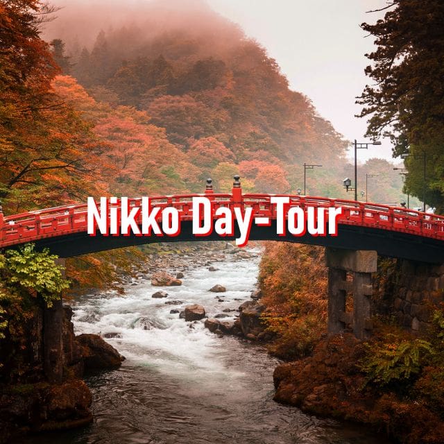 From Tokyo: 10-hour Private Custom Tour to Nikko - Just The Basics