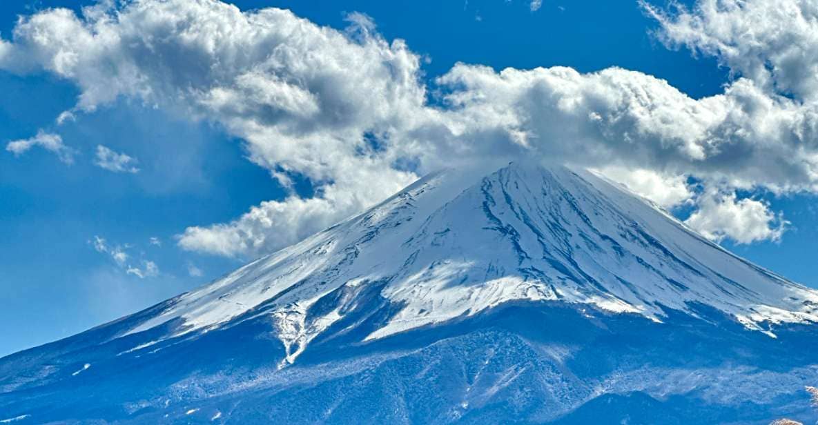 From Tokyo: Mount Fuji Full Day Private Customize Tour - Just The Basics