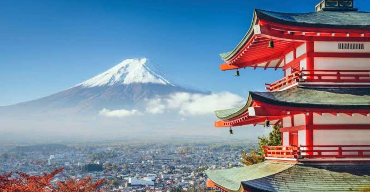 From Tokyo: Mount Fuji Full Day Private Tours English Driver - Just The Basics