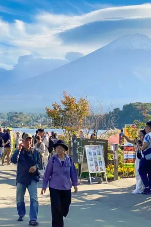 From Tokyo Mount Fuji Private Tour English Speaking Driver - Just The Basics