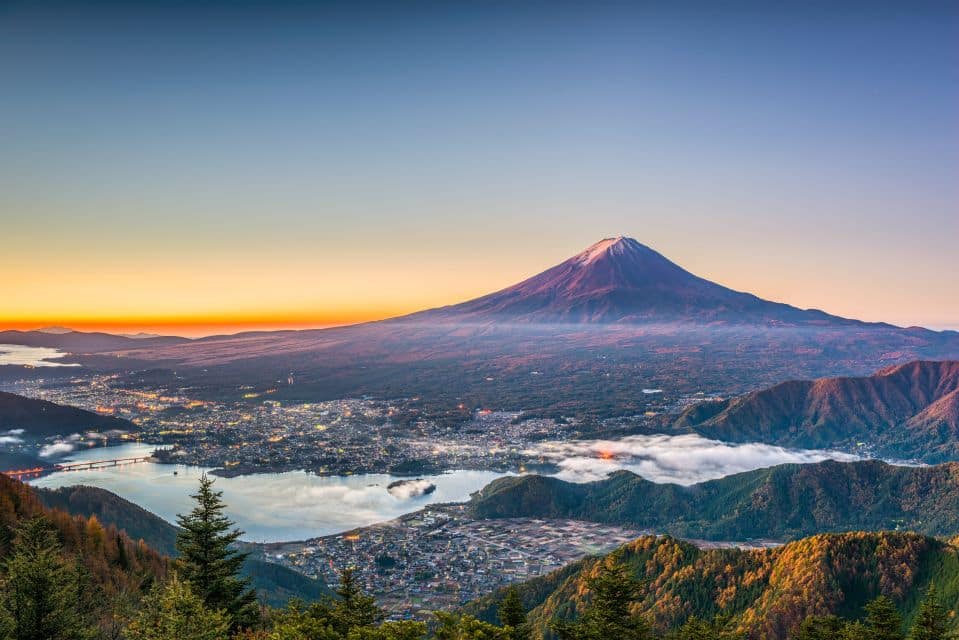 From Tokyo: Mt. Fuji or Hakone Private Sightseeing Day Trip - Just The Basics