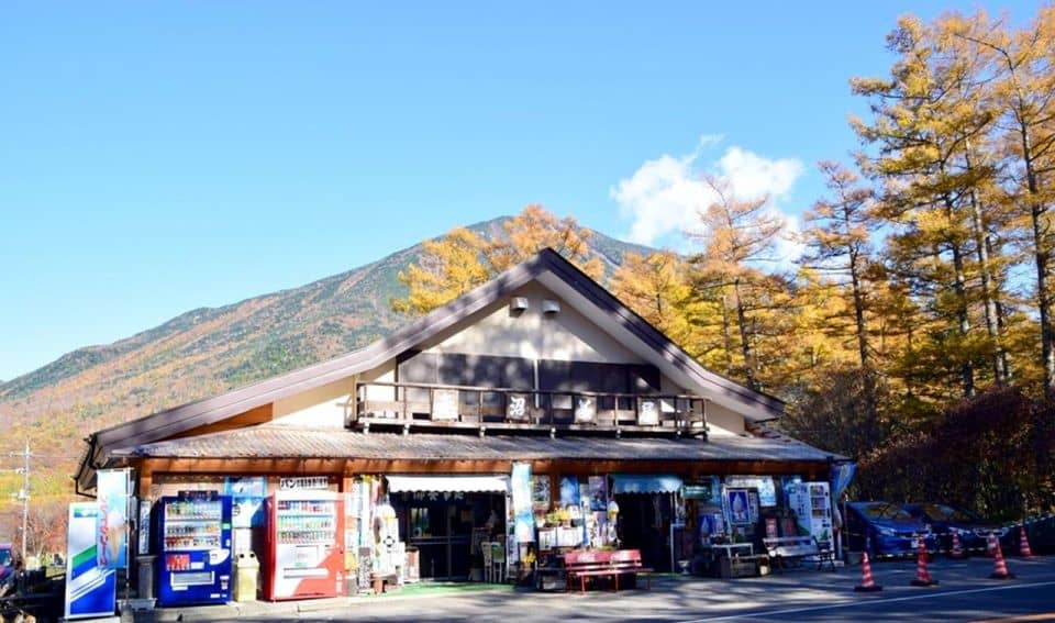 From Tokyo: Nikko UNESCO Shrine and Nature View 1-Day Tour - Just The Basics