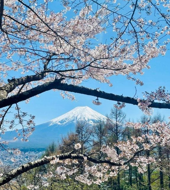 Full Guided One Day Trip for Mount Fuji Japan - Just The Basics