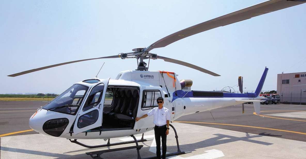 Helicopter Shuttle Service Between Narita and Tokyo - Just The Basics