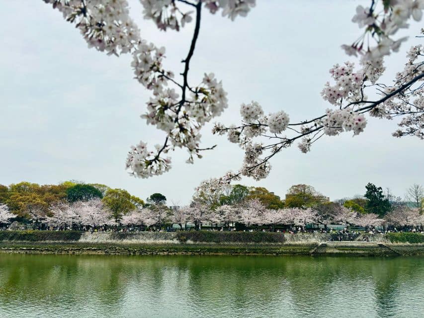 Hiroshima: History of Hiroshima Private Walking Tour - Just The Basics