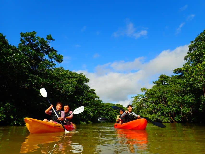 Ishigaki Island: 2-Hour Miyara River Kayaking Tour - Just The Basics