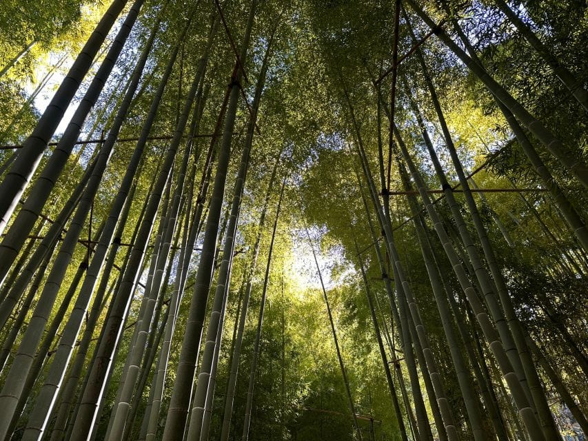 Kamakura: Cycle Through Centuries - Just The Basics