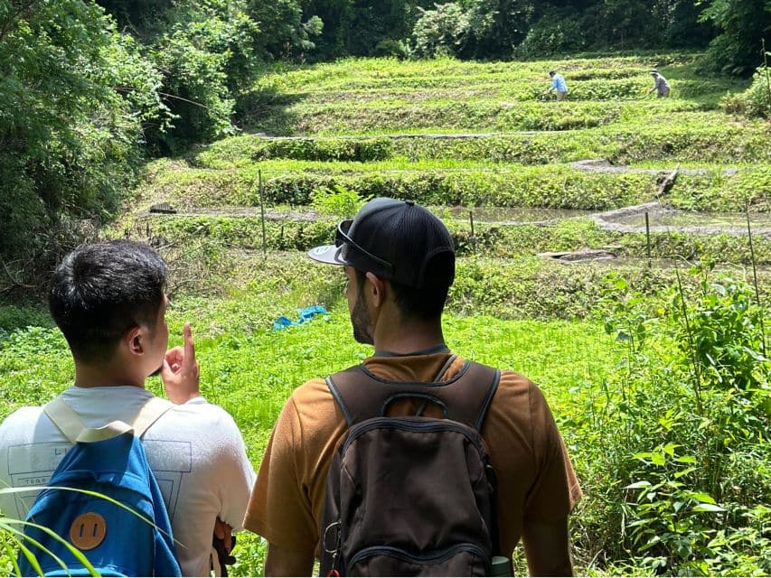 Kamakura Hidden Hike - Just The Basics