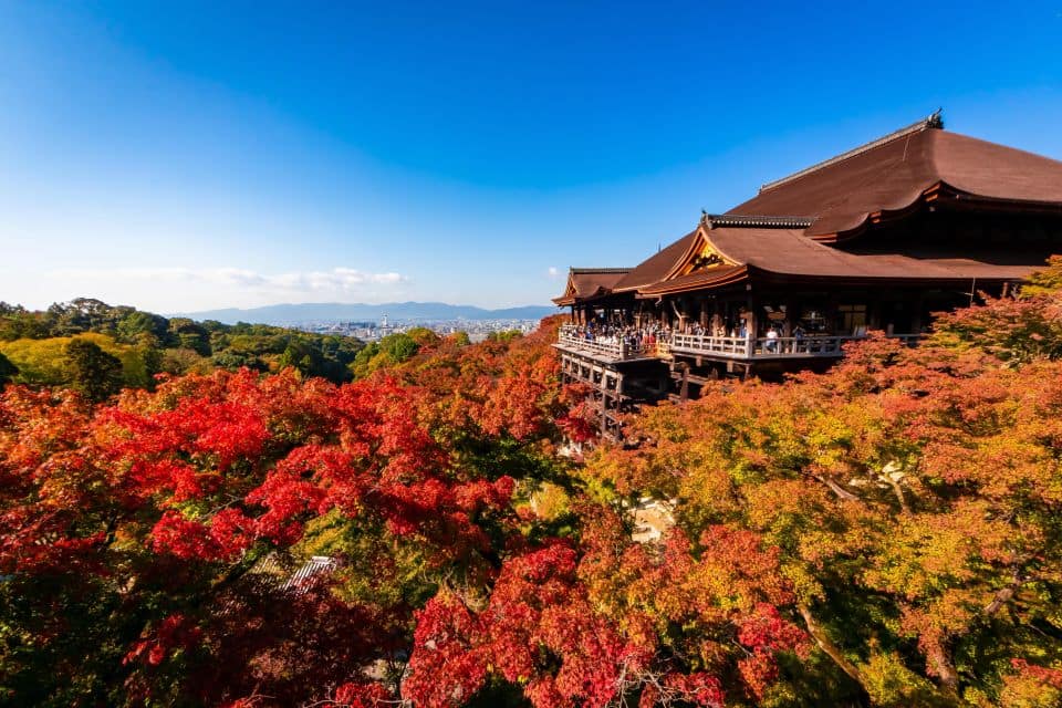 Kiyomizu Temple and Backstreet of Gion Half Day Private Tour - Just The Basics