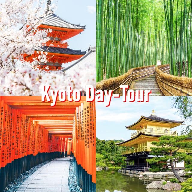 Kyoto: 10-hour Customized Private Tour - Just The Basics