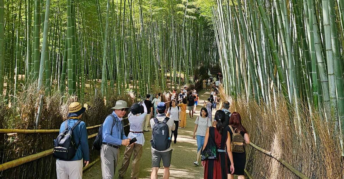 Kyoto: Arashiyama Bamboo Grove 3-Hour Guided Tour - Just The Basics