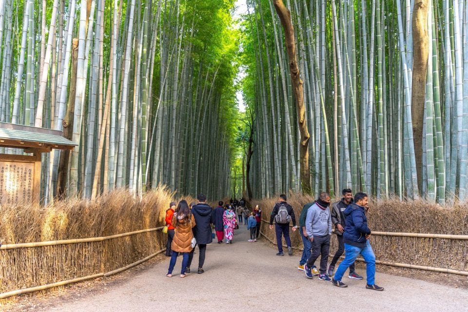 Kyoto: Arashiyama Forest Trek With Authentic Zen Experience - Just The Basics