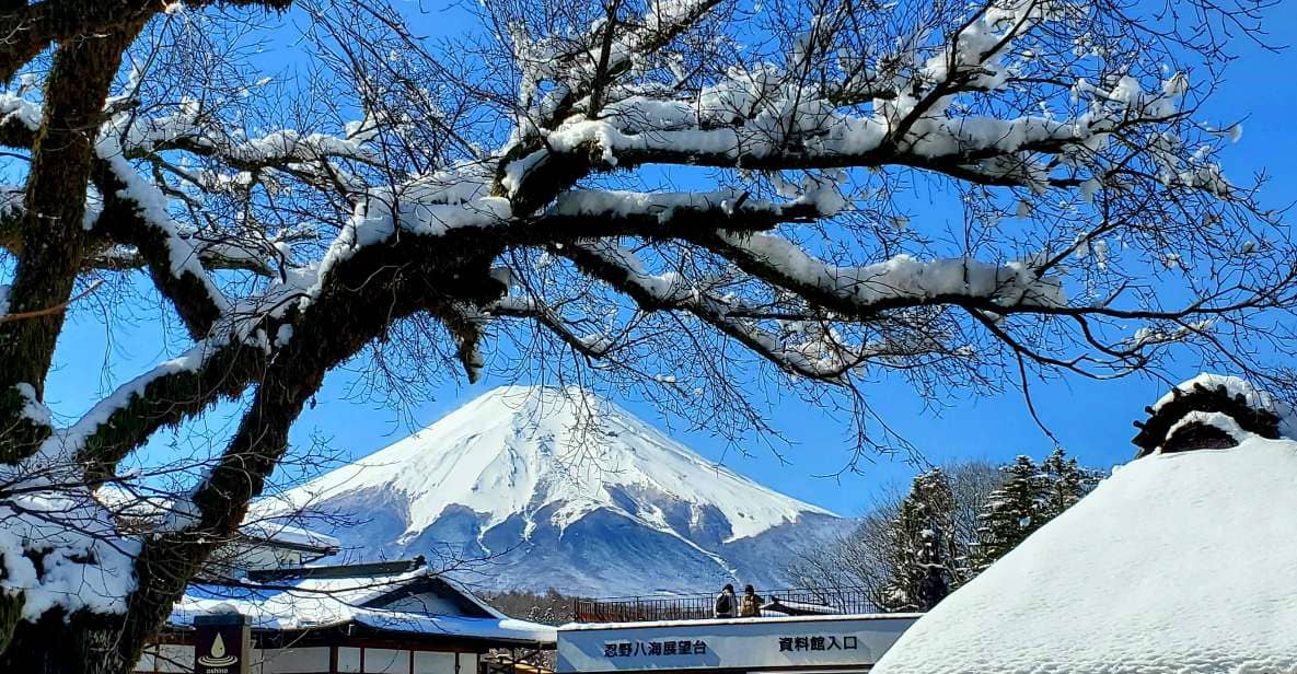 Mt. Fuji and Hakone: Full Day Private Tour W English Guide - Just The Basics