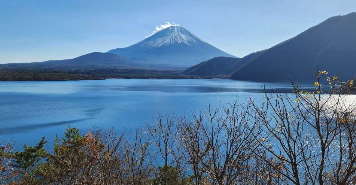 Mt Fuji and Hakone Private Tour With English Speaking Driver - Just The Basics