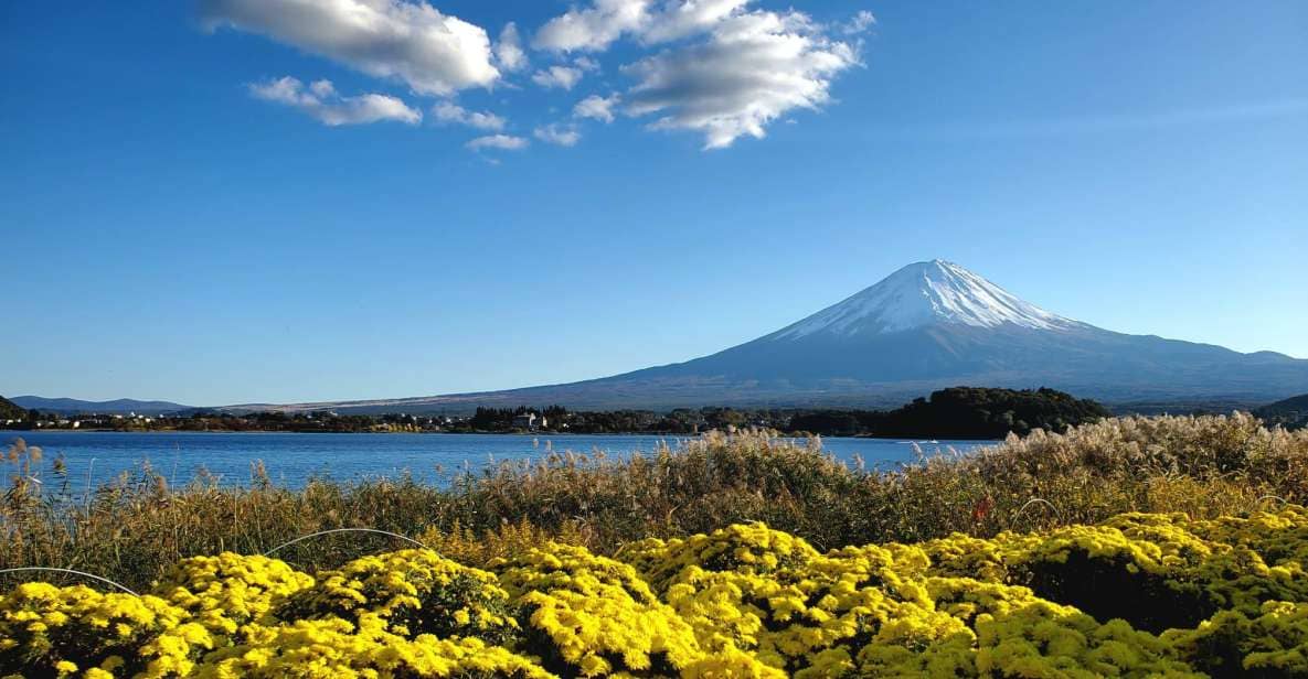 Mt Fuji: Full Day Private Tour With English Guide - Just The Basics