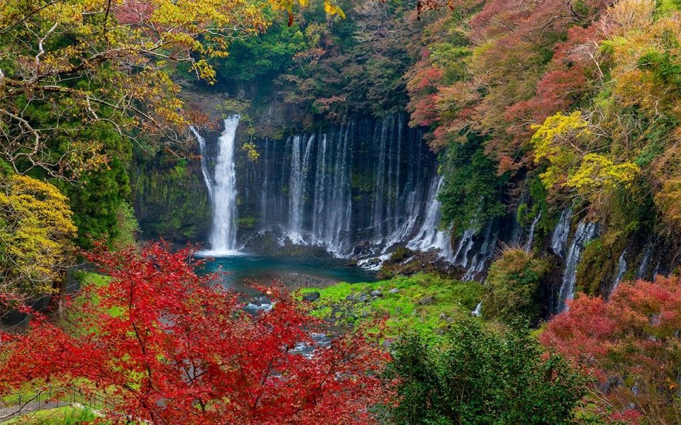 Mt Fuji : Highlight Tour and Unforgettable Experience - Just The Basics
