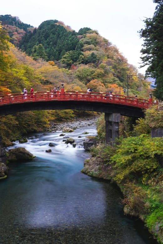 Nikko Private Full-Day Sightseeing Day Tour - Tour Overview and Pricing