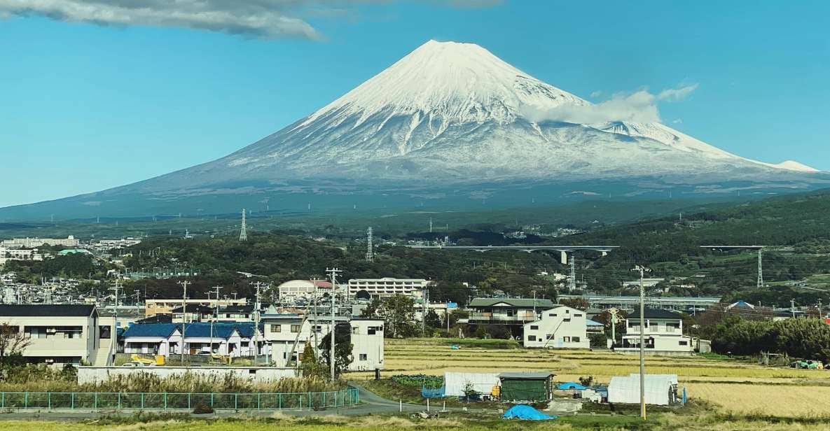 One Day Private Tour to Mt Fuji & Hakone With English Driver - Customizable Itinerary Details