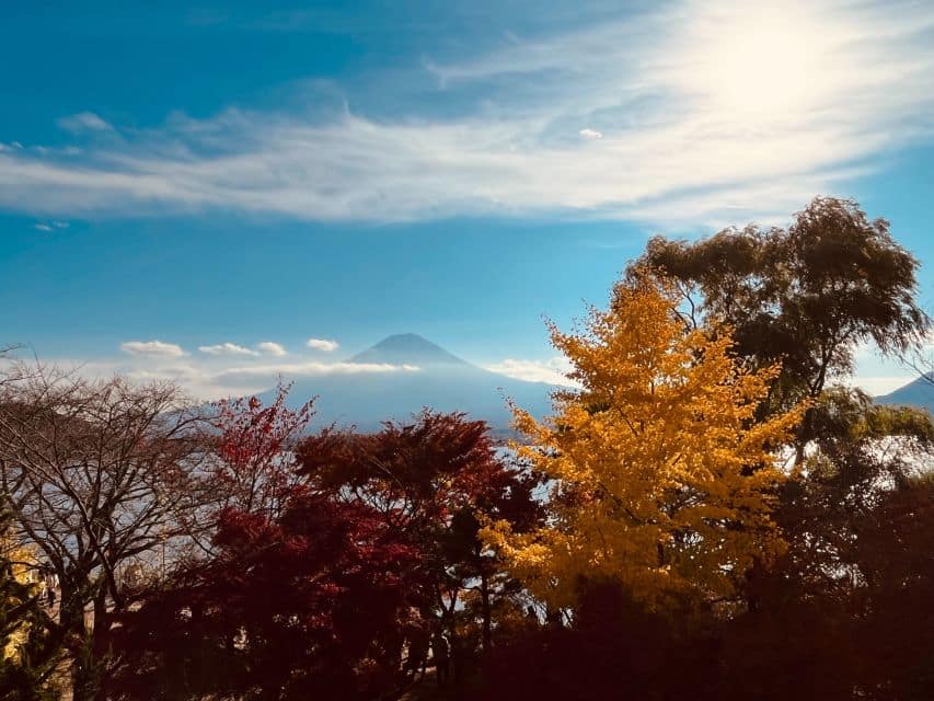 Shinjuku: Mount Fuji Panoramic View and Shopping Day Tour - Just The Basics