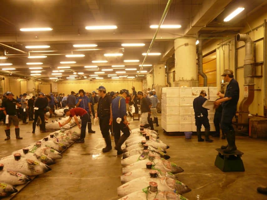 Tokyo: Guided Walking Tour of Tsukiji Market With Lunch - Just The Basics