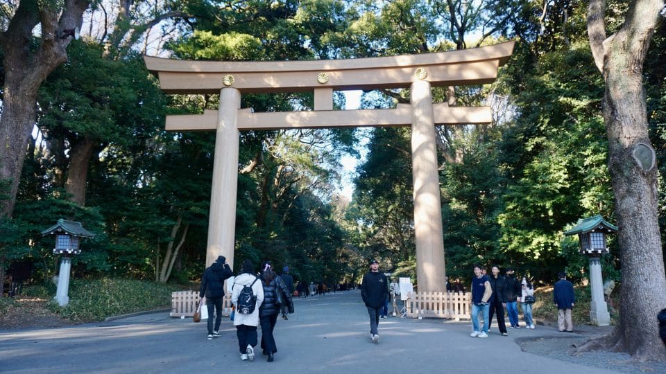 Tokyo Harajuku Meiji Shrine 1h Walking Explanation Tour - Just The Basics