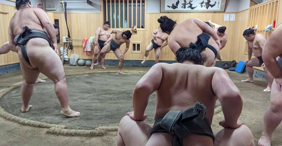 Tokyo: Morning Sumo Practice Viewing - Just The Basics