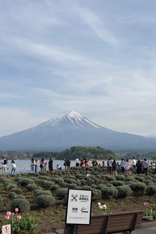 Tokyo: Mt. Fuji and Lake Kawaguchi Private Tour - Private Tour Logistics and Details