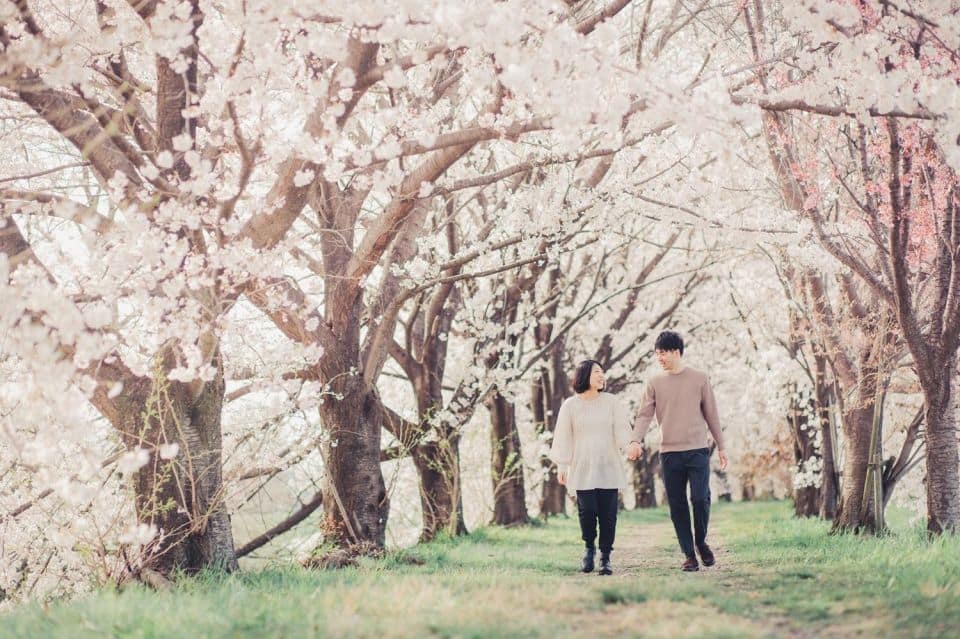 Tokyo: Private Cherry Blossom Photoshoot - Just The Basics