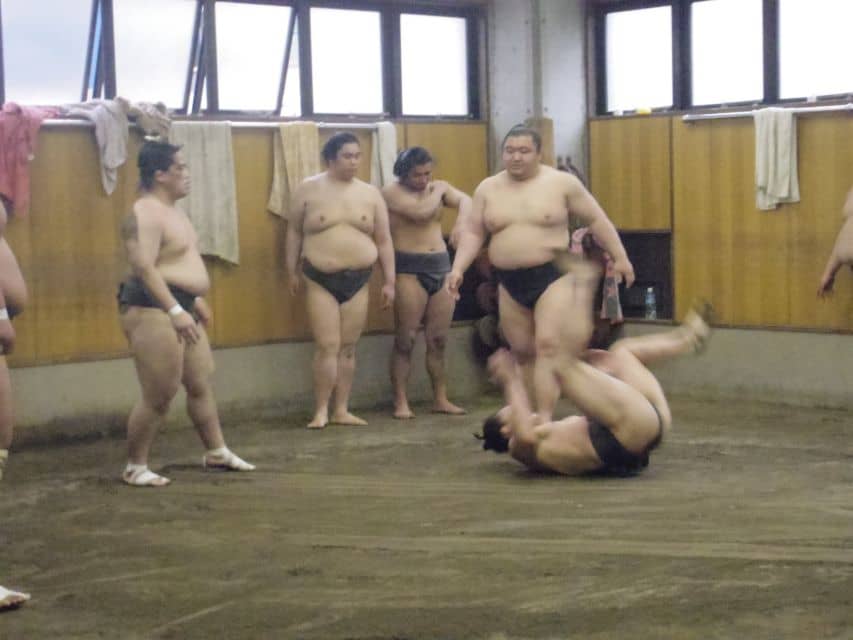 Tokyo: Sumo Morning Practice Viewing Tour - Just The Basics