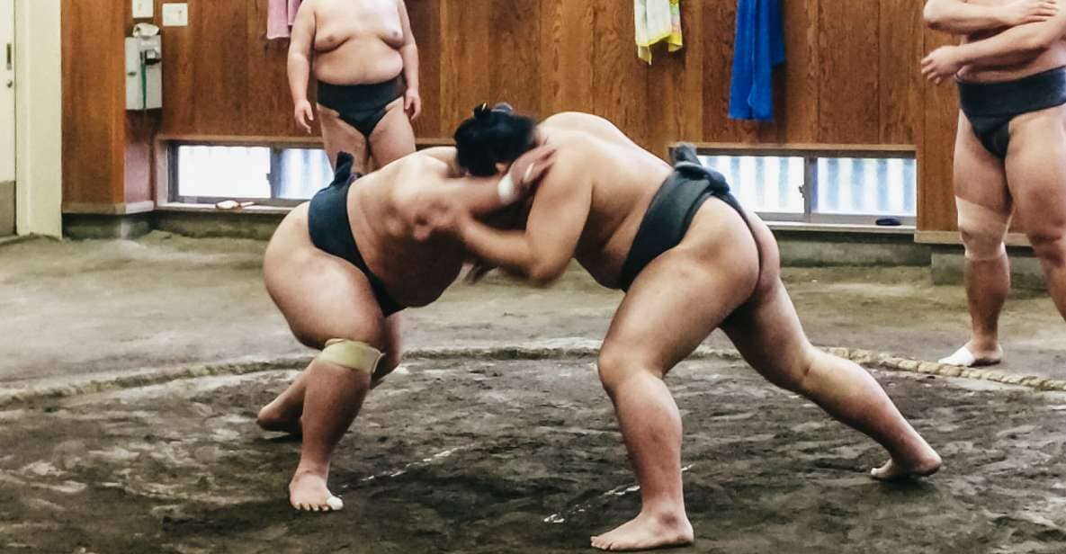 Tokyo: Sumo Morning Training Visit - Just The Basics