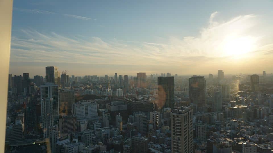 Tokyo Tower Secret Photo Spot and Skyline Tour - Just The Basics